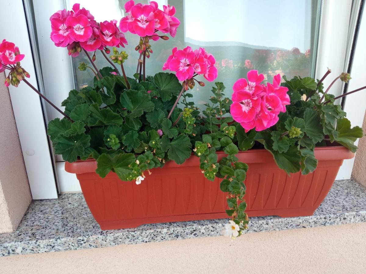 Apartament Apartman Vidovic Korenica Zewnętrze zdjęcie